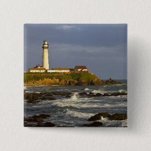 Chapa Cuadrada Faro en la playa estatal Pigeon Point en San 2