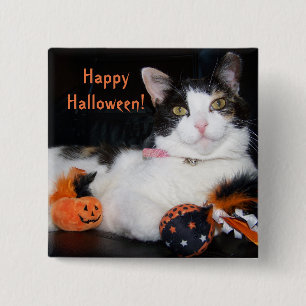 Chapa Cuadrada Feliz Gato de Halloween Calico Kitty con calabaza