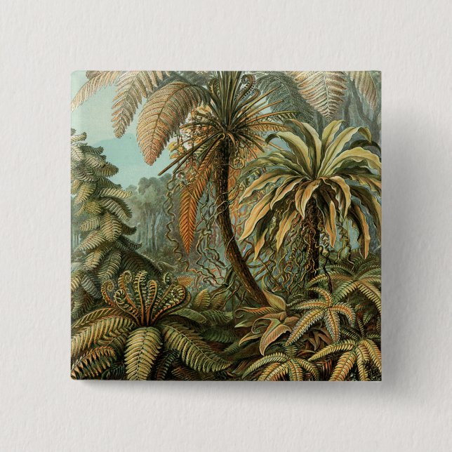 Chapa Cuadrada Ferns Palm Tree Antique Botanica Ferns Art (Anverso)
