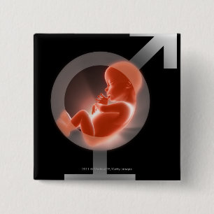 Chapa Cuadrada Feto sobrepuesto sobre los símbolos masculinos y