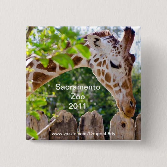 Chapa Cuadrada Fiberlicious (Anverso)