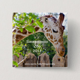 Chapa Cuadrada Fiberlicious