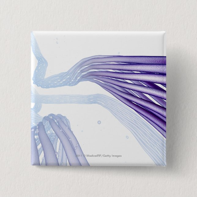 Chapa Cuadrada Fibras de nervio estilizadas (Anverso)