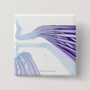 Chapa Cuadrada Fibras de nervio estilizadas