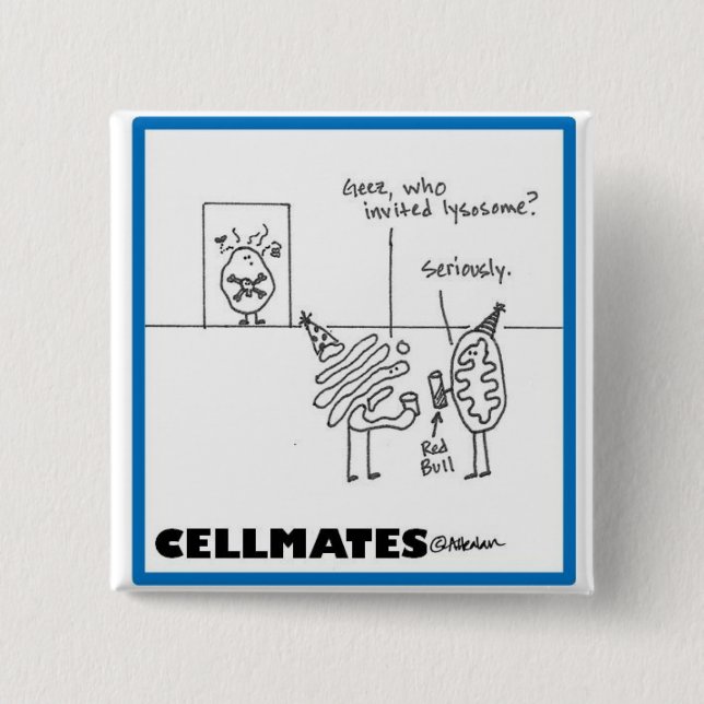 Chapa Cuadrada Fiesta del organelo (Anverso)