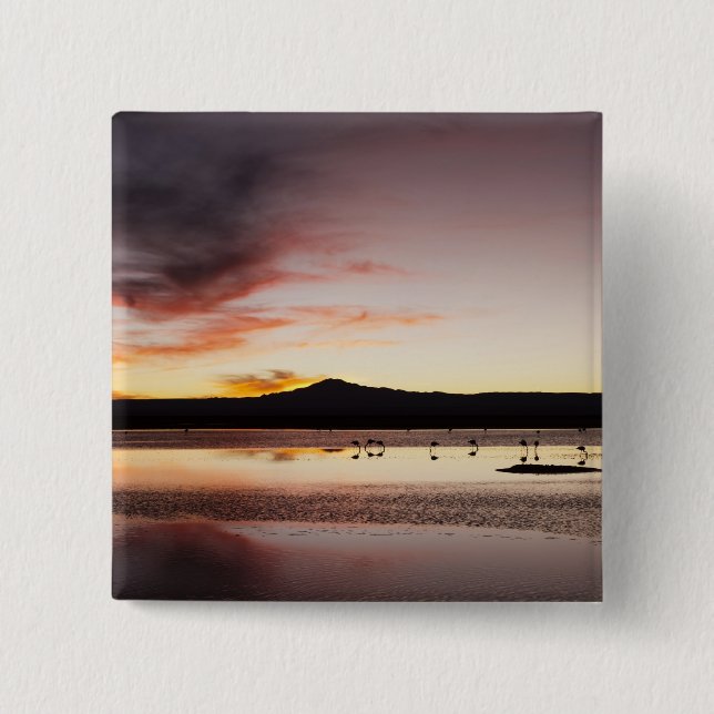 Chapa Cuadrada Flamingo de Chile (Anverso)