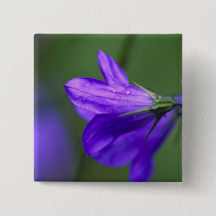 Chapa Cuadrada Flor azul en el paso de la independencia