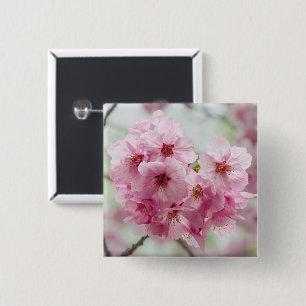 Chapa Cuadrada Flor de cerezo rosa delicada flor japonesa