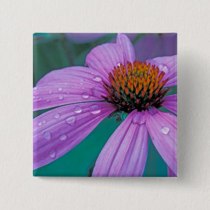 Chapa Cuadrada flor de cono morado con gotas de agua
