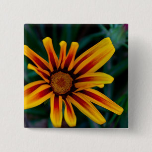 Chapa Cuadrada Flor de Gazania