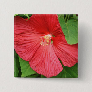 Chapa Cuadrada Flor de Hibiscus brillante flor magenta