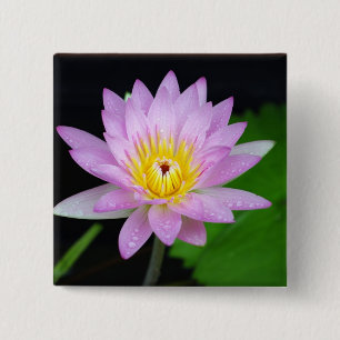 Chapa Cuadrada Flor de Lotus