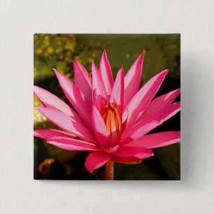 Chapa Cuadrada Flor de Lotus en la naturaleza