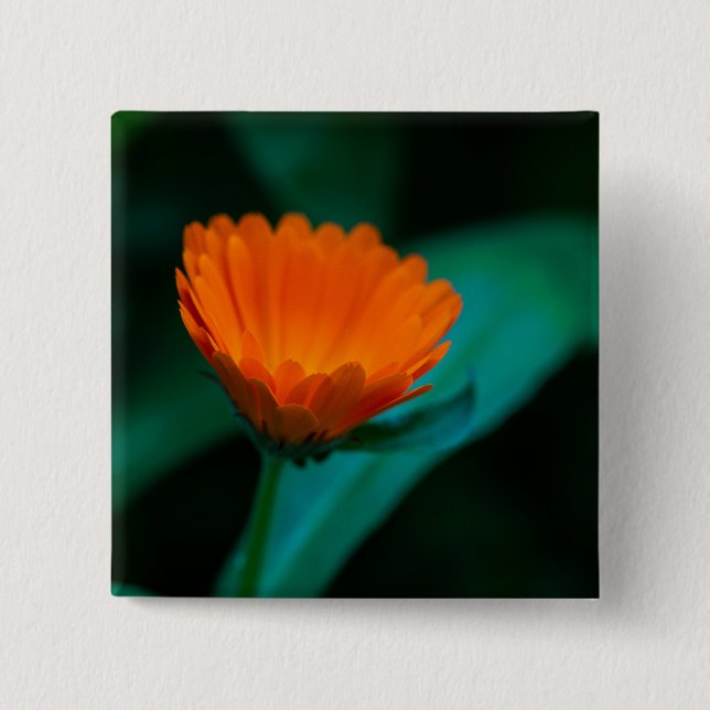 Chapa Cuadrada flor de margarita naranja (Anverso)