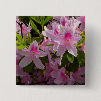 Chapa Cuadrada Flor de primavera rosada de Azalea Bush