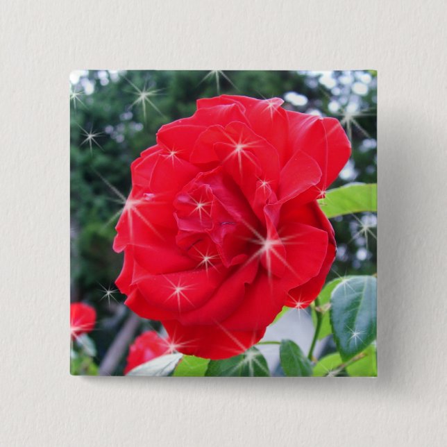 Chapa Cuadrada flor de rosa roja con estrellas (Anverso)