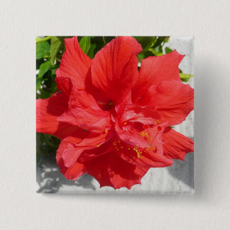 Chapa Cuadrada Flor doble roja hibiscus