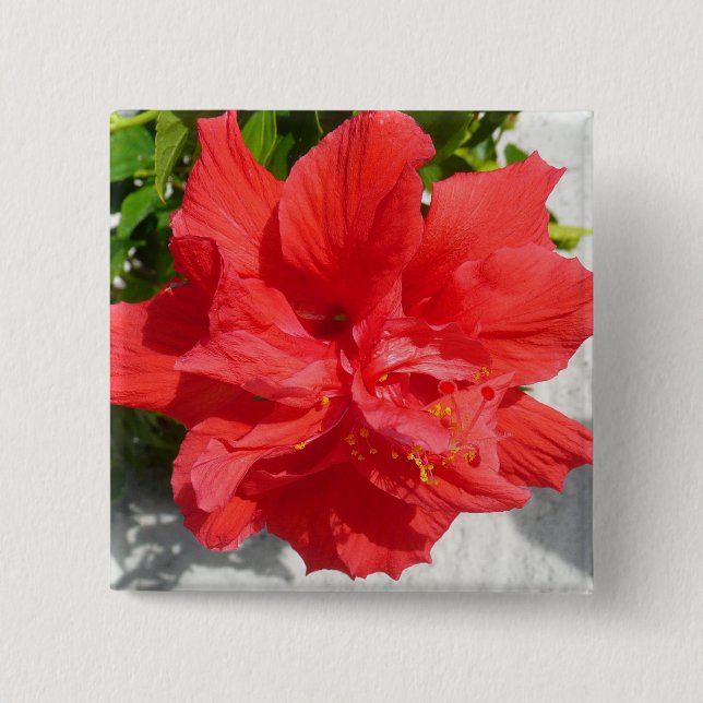 Chapa Cuadrada Flor doble roja hibiscus (Anverso)