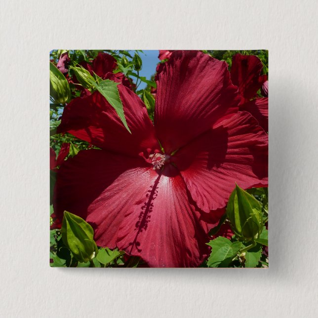 Chapa Cuadrada Flor hibiscus y cielo azul (Anverso)