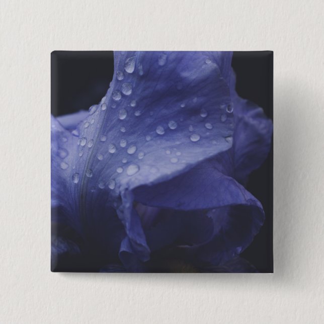 Chapa Cuadrada Flor morada Rosa (Anverso)