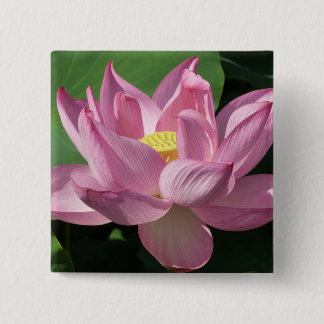 Chapa Cuadrada Flor rosa Lotus IV