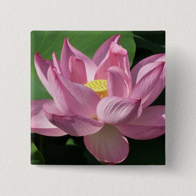 Chapa Cuadrada Flor rosa Lotus IV (Anverso)