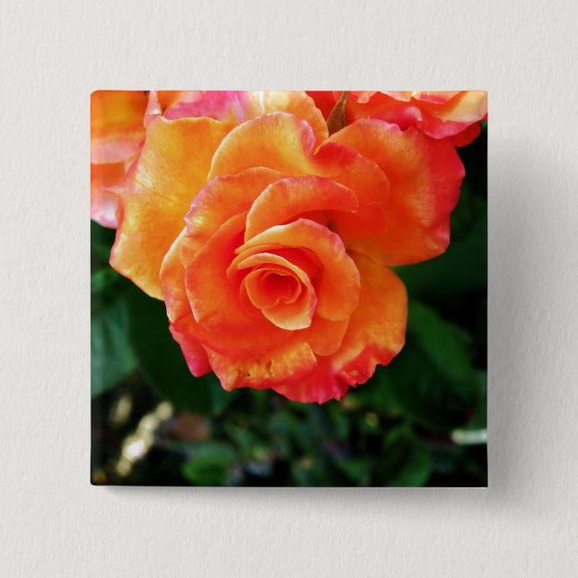 Chapa Cuadrada flor rosa naranja (Anverso)