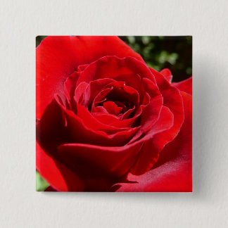 Chapa Cuadrada Flor rosa roja brillante hermosa flor