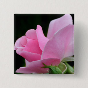 Chapa Cuadrada Flor rosa rosa