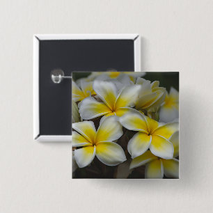 Chapa Cuadrada Flor tropical Plumeria blanca y amarilla