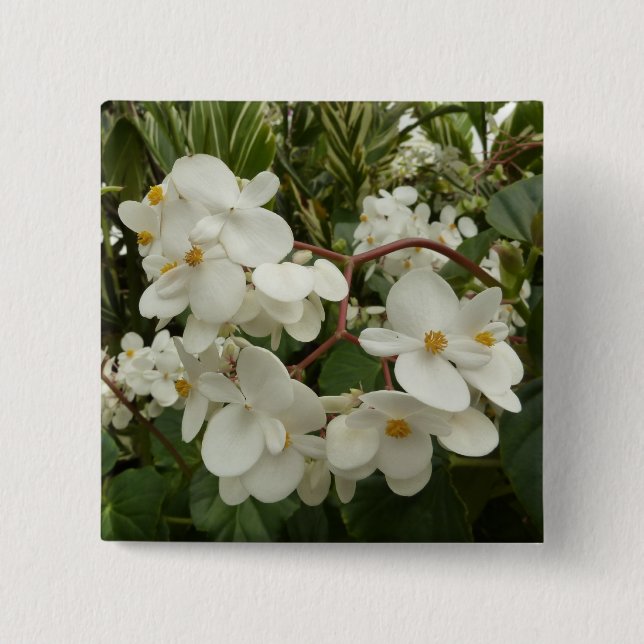 Chapa Cuadrada Floral de Begonia blanca tropical (Anverso)