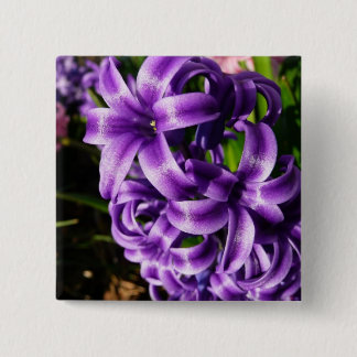 Chapa Cuadrada Floral de primavera azul Hyacinin II