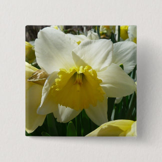 Chapa Cuadrada Floral de primavera de Daffodil amarillo y blanco