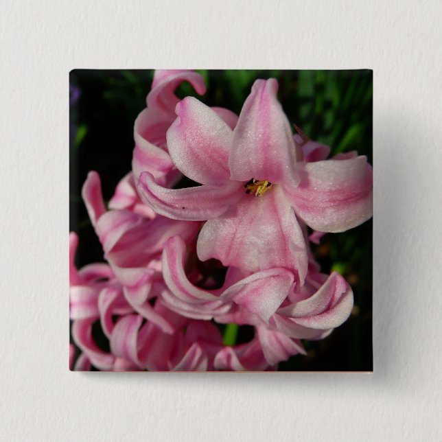 Chapa Cuadrada Floral de primavera de Hyacint rosado (Anverso)