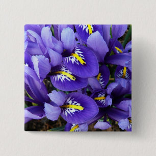 Chapa Cuadrada Floral de primavera de irlandeses azules en miniat
