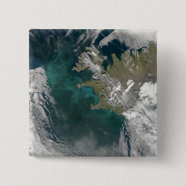 Chapa Cuadrada Florencia del fitoplancton en el Océano Atlántico  (Anverso)