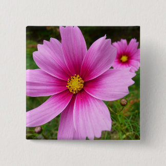Chapa Cuadrada Flores Cosmos rosadas Flores silvestres