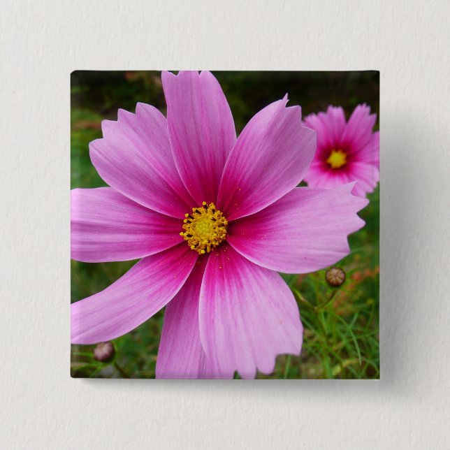Chapa Cuadrada Flores Cosmos rosadas Flores silvestres (Anverso)
