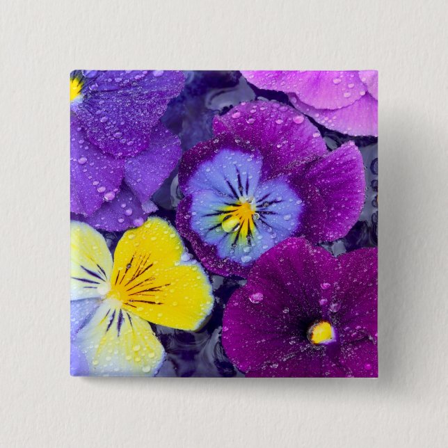 Chapa Cuadrada Flores de pensamiento flotando en baño de aves con (Anverso)