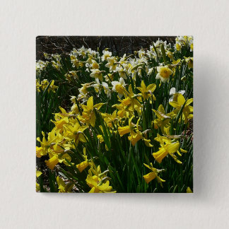 Chapa Cuadrada Flores de primavera de los Daffodils amarillos y b