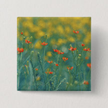 Flores de verano (Campo floral) (Flores rojas)