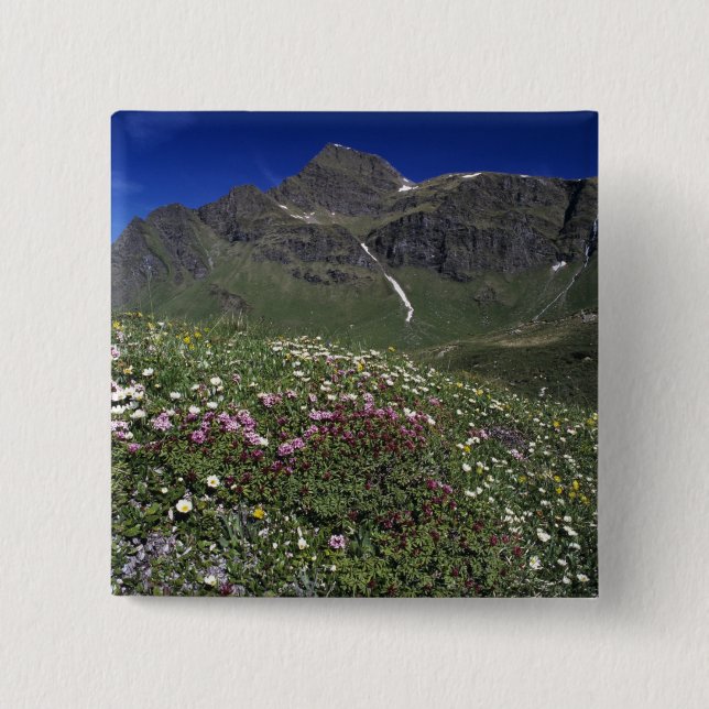 Chapa Cuadrada Flores silvestres, floreciendo, Alpes, Suiza (Anverso)