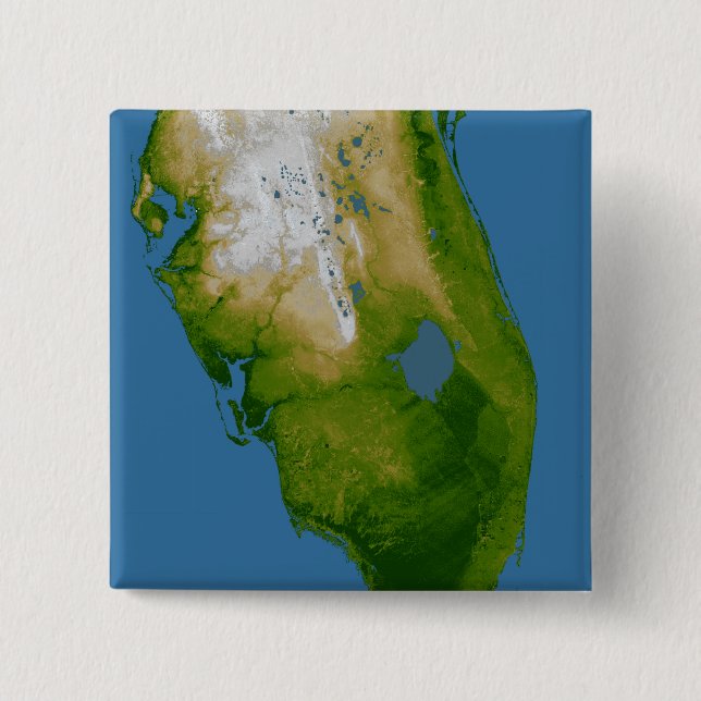 Chapa Cuadrada Florida del Sur (Anverso)