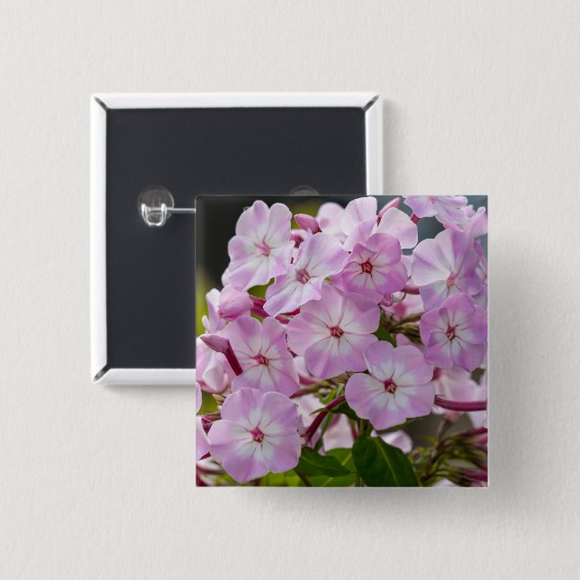 Chapa Cuadrada Flox Botánico Rosa Vibrante (Anverso y reverso)