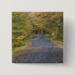 Chapa Cuadrada Follaje de otoño en la carretera, sur de Vermont,