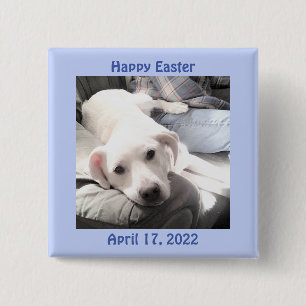Chapa Cuadrada Foto de azul de regalo de Pascua de Perro Blanco y
