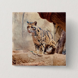 Chapa Cuadrada foto de leopardo nebuloso naturaleza vida silvestr