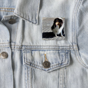 Chapa Cuadrada Foto de perro