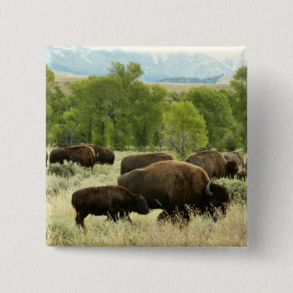 Chapa Cuadrada Fotografía de animales de la naturaleza de Wyoming