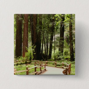 Chapa Cuadrada Fotografía de la naturaleza de Muir Woods Path I